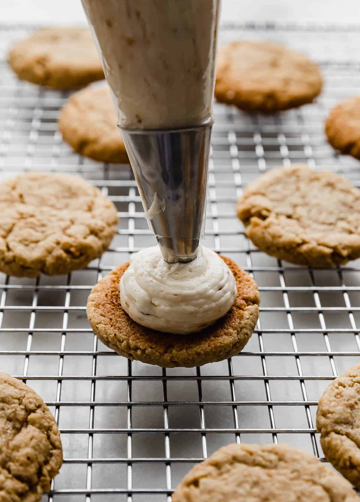 The best marshmallow buttercream frosting being piped onto a graham cracker cookie.