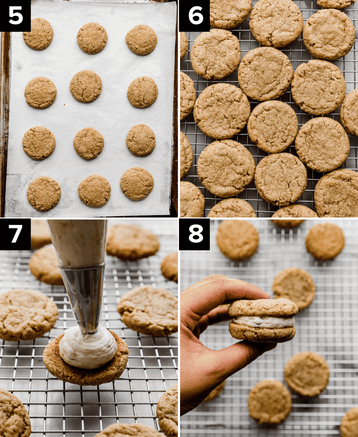 Four photos, top left image is baked graham cracker cookies on a baking sheet, top right image is tan cookies on wire cooling rack, bottom left image is marshmallow frosting being piped on the backside of a cookie, and bottom right photo is a hand squishing a S'mores Sandwich Cookie together.