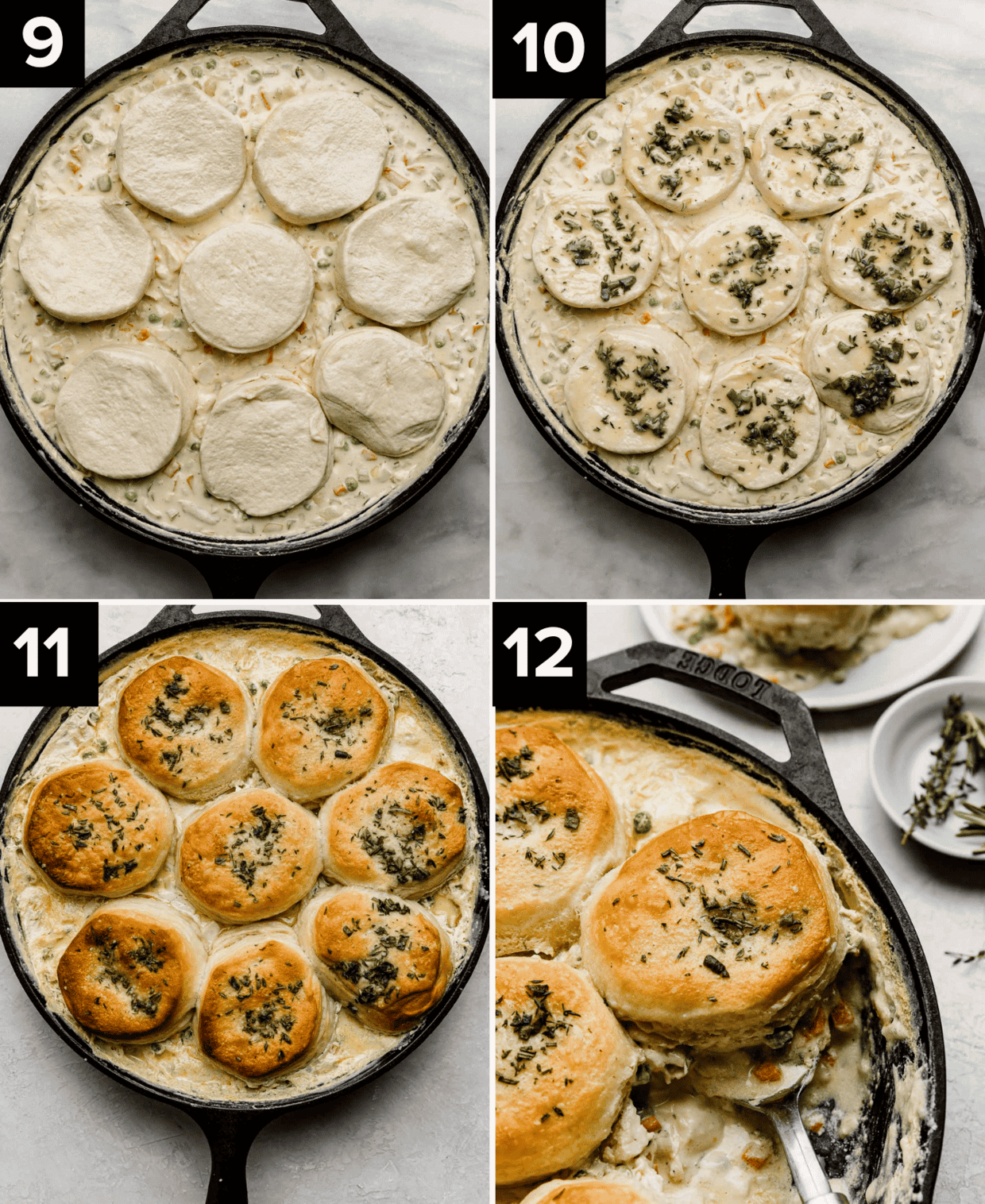 Raw biscuit dough on top of chicken pot pie mixture in a cast iron skillet (top left), herb butter topped raw biscuits over pot pie mixture (top right), baked Cast Iron Chicken Pot Pie on white background (bottom left), close up of golden brown herb covered biscuit in a cast iron skillet (bottom right).