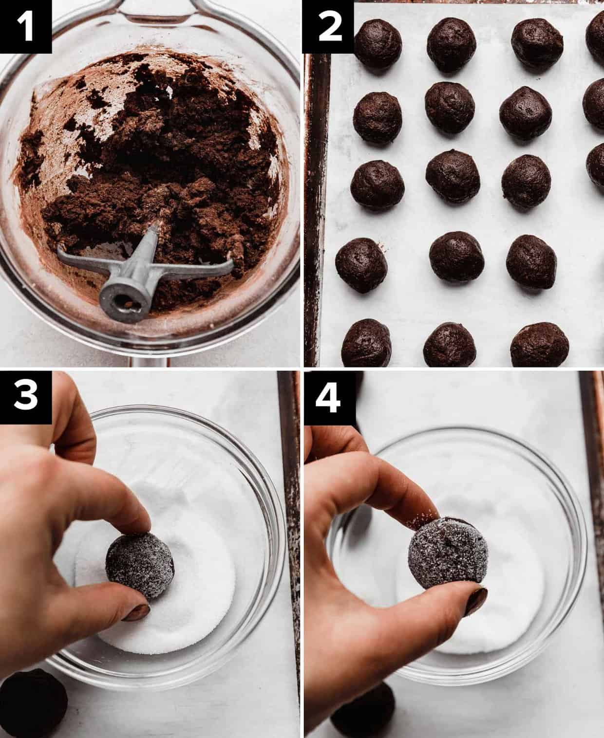 Four photos showing how to make Chocolate Peppermint Blossom Cookies: chocolate cookie dough in bowl (top left), round cookie dough balls on white paper (top right), hand rolling cookie dough ball into white sugar (bottom left and right photos).