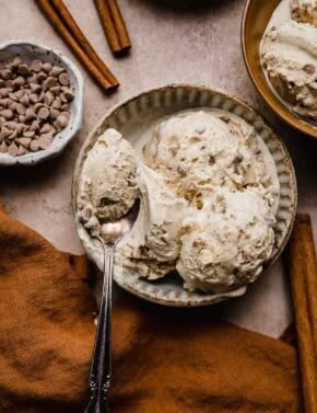 Cinnamon Ice Cream