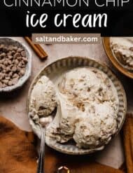 Cinnamon spice ice cream in a bowl with a spoon scooping out some of the ice cream, with the words, "Cinnamon Chip Ice Cream" written in white text above the image.