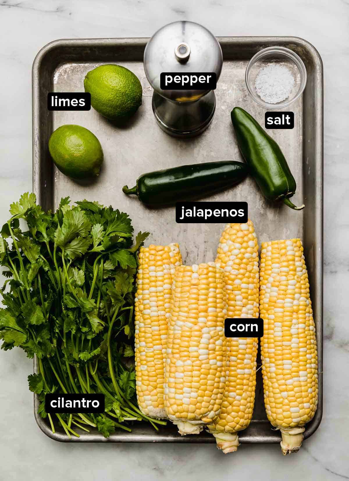 Corn salsa recipe ingredients on a silver baking sheet: fresh corn on the cob, cilantro, jalapeños, limes, and salt and pepper.