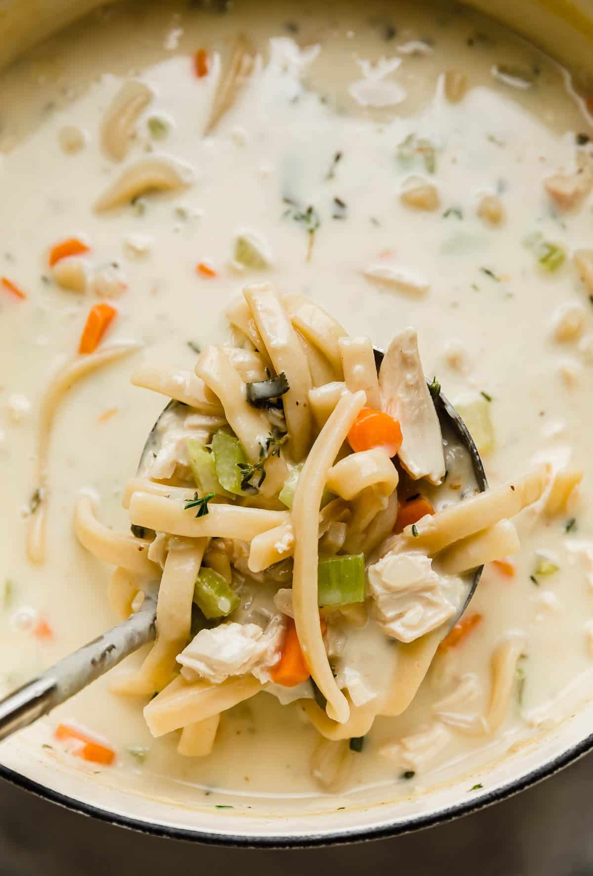 A metal ladle scooping up homemade creamy chicken noodles soup from a dutch oven.